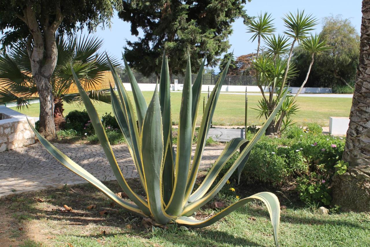 Casa Beachcomber Le Jardin Des Arts Apartman Lagos Kültér fotó